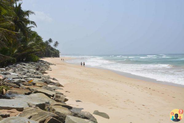 Qué hacer en Sri Lanka