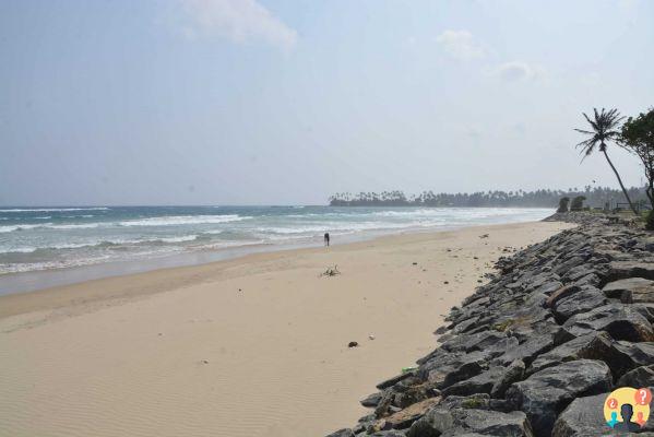 What to do in Sri Lanka