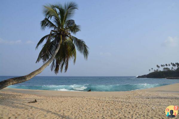 Qué hacer en Sri Lanka