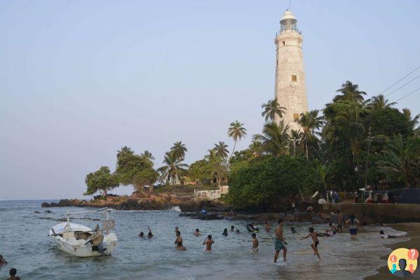 Qué hacer en Sri Lanka