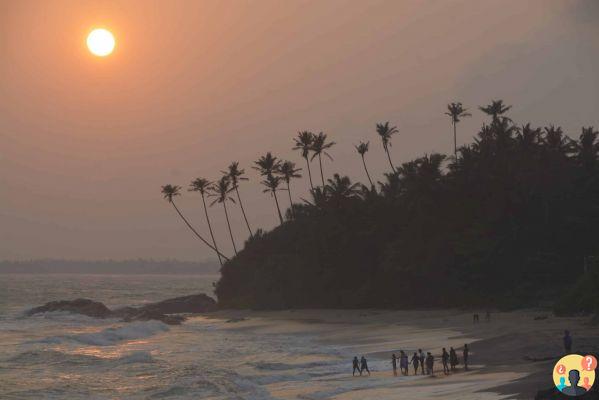 Qué hacer en Sri Lanka