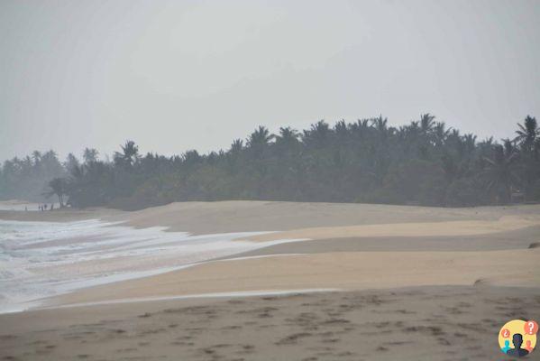 Qué hacer en Sri Lanka