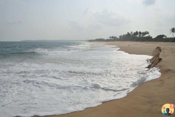 Cosa fare in Sri Lanka