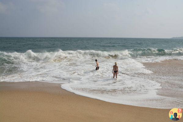 What to do in Sri Lanka