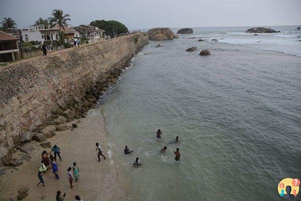 Qué hacer en Sri Lanka