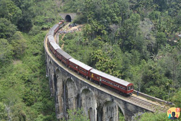 Qué hacer en Sri Lanka