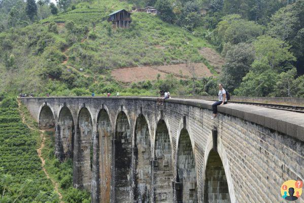 Qué hacer en Sri Lanka