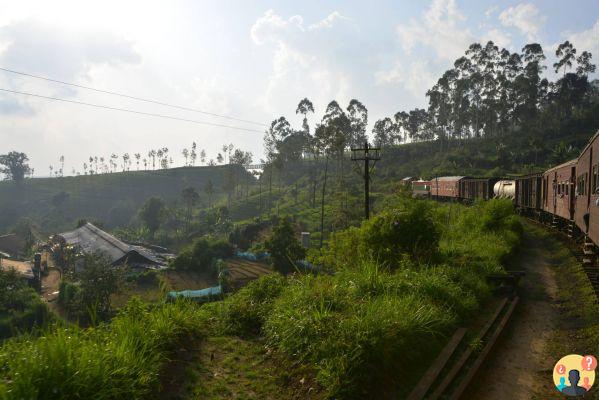 Qué hacer en Sri Lanka