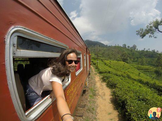 Qué hacer en Sri Lanka