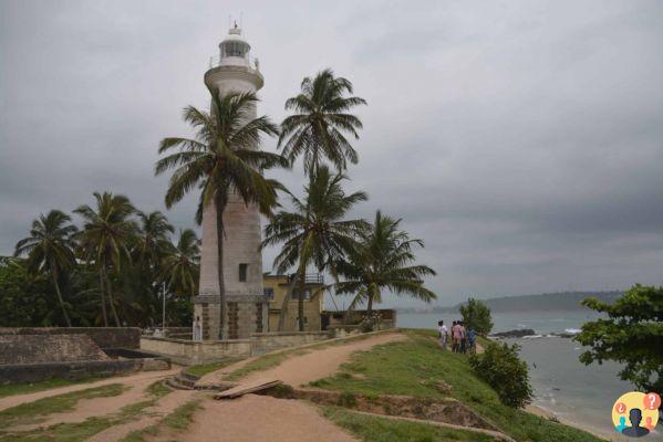 Qué hacer en Sri Lanka