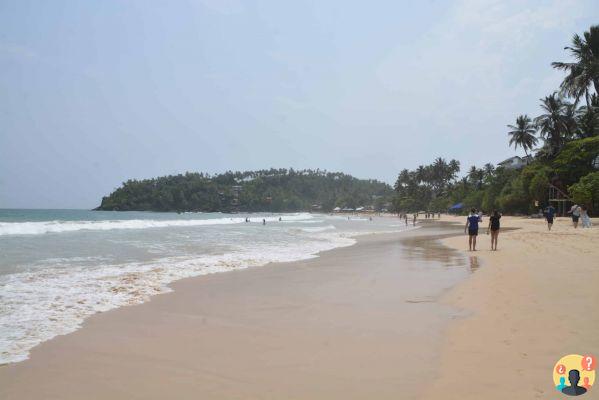 Qué hacer en Sri Lanka