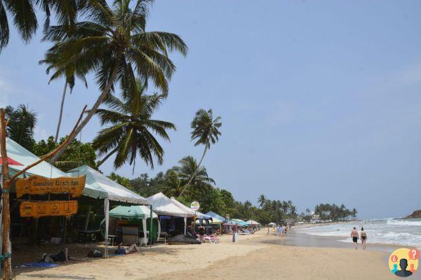 Qué hacer en Sri Lanka