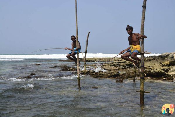 Qué hacer en Sri Lanka