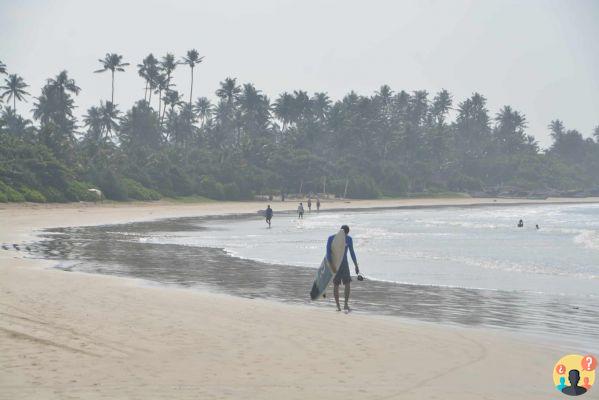 Que faire au Sri Lanka