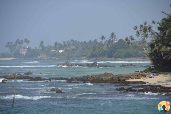 Qué hacer en Sri Lanka