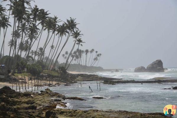 Cosa fare in Sri Lanka