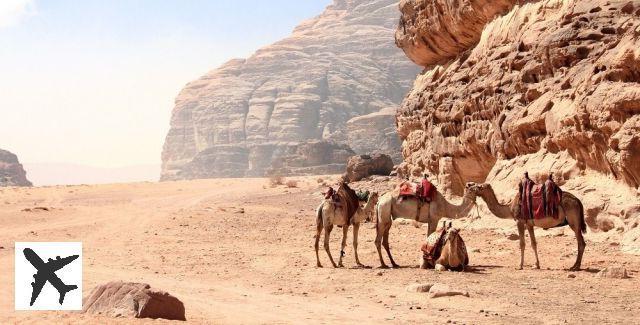 Jordan Trail : voyage sur la Route des Rois