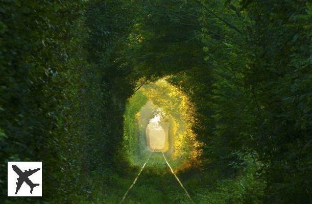 Ukraine : tunnel de l’amour de Klevan