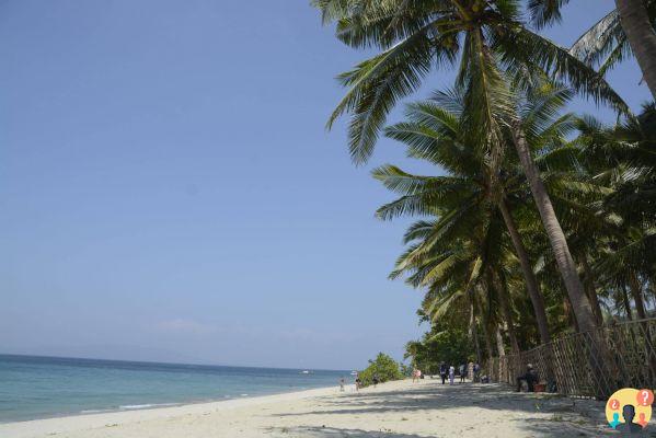 The best beaches and islands for tourism in the Philippines