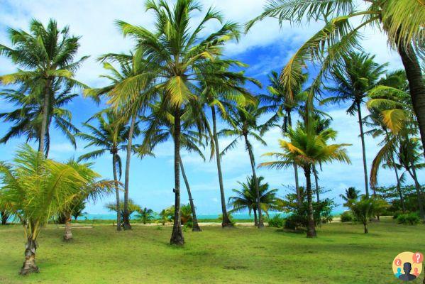 Pousadas en Alagoas – 10 opciones increíbles en la costa de Alagoas