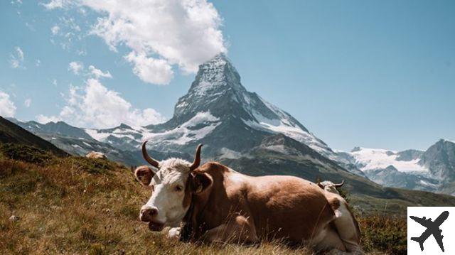 30 cose essenziali da vedere in Svizzera