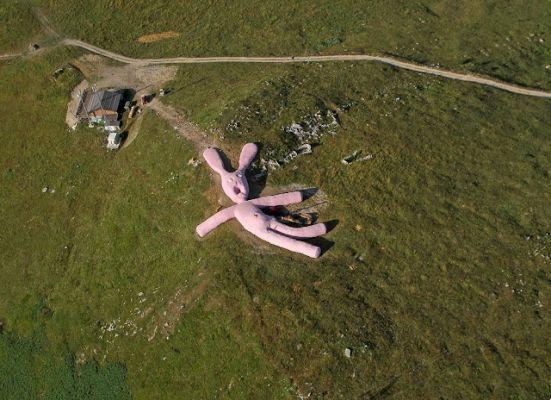 The giant pink rabbit by Colleto Fava - What is it and where is it?