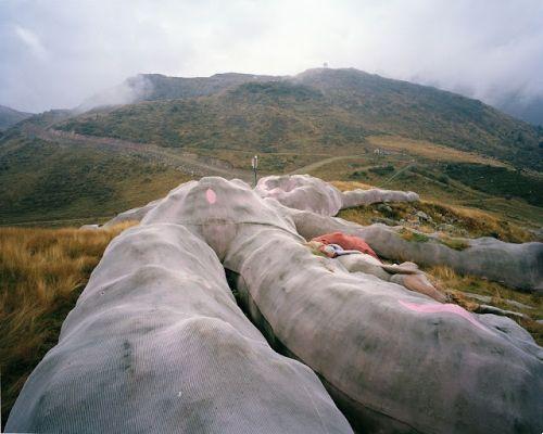 The giant pink rabbit by Colleto Fava - What is it and where is it?