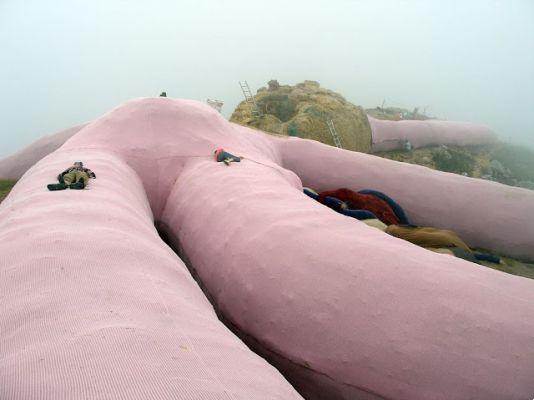 The giant pink rabbit by Colleto Fava - What is it and where is it?