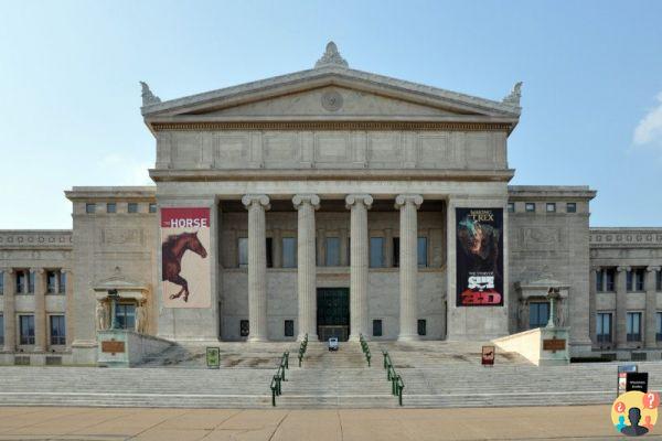 Museums in New York worth visiting