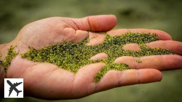 Papakolea Beach e la sua sabbia verde alle Hawaii