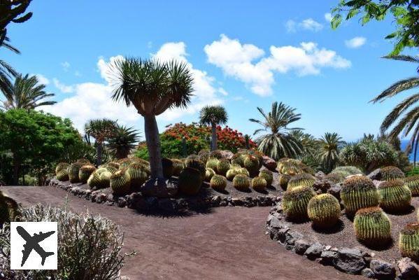 Visite el Parque Oasis en Fuerteventura: entradas, tarifas, horarios