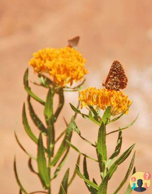 Zion National Park – everything you need to know before you go