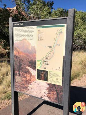 Parque Nacional Zion: todo lo que necesita saber antes de viajar