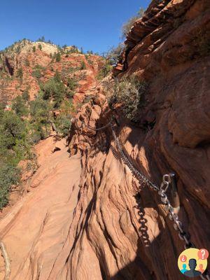 Parque Nacional Zion: todo lo que necesita saber antes de viajar