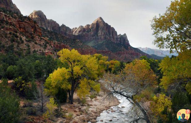 Parc national de Zion - tout ce que vous devez savoir avant de partir