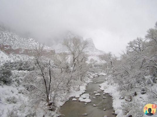 Parc national de Zion - tout ce que vous devez savoir avant de partir