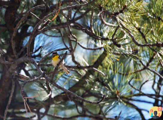 Zion National Park – everything you need to know before you go