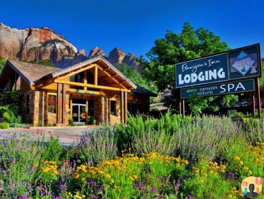 Zion National Park – everything you need to know before you go