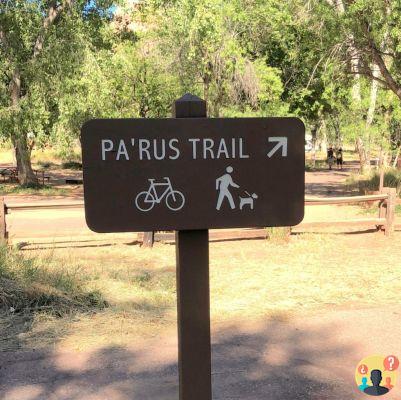 Parque Nacional Zion: todo lo que necesita saber antes de viajar