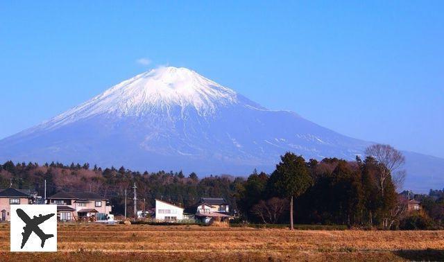 Dans quel quartier loger à Shizuoka ?