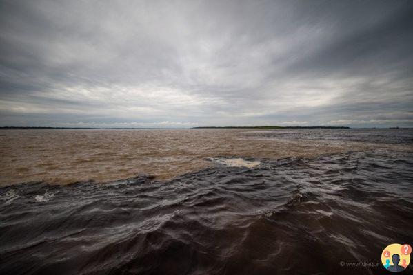 Cómo conocer a una tribu indígena en el Amazonas