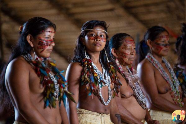 Cómo conocer a una tribu indígena en el Amazonas