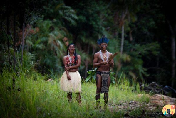 Come incontrare una tribù indigena in Amazzonia