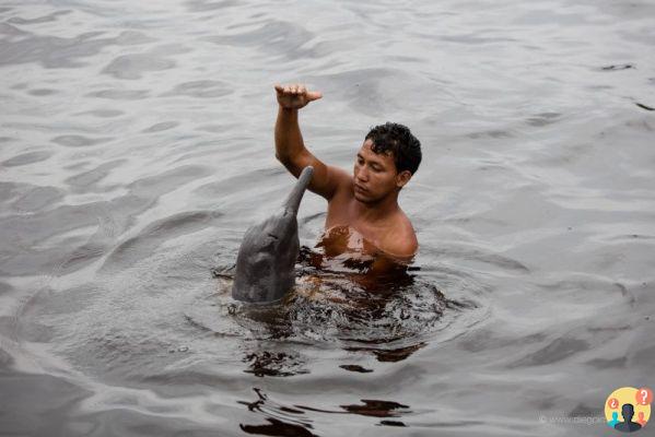 Come incontrare una tribù indigena in Amazzonia