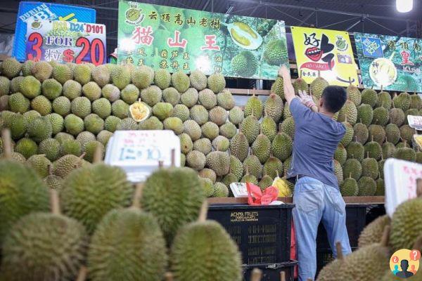 Qué hacer en Singapur de 1 a 5 días