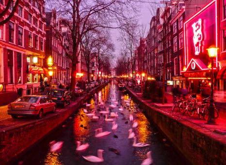 Guide du Quartier Rouge à Amsterdam
