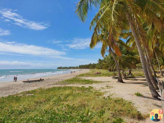 Hostels for New Year's Eve in Alagoas – The 13 best rated