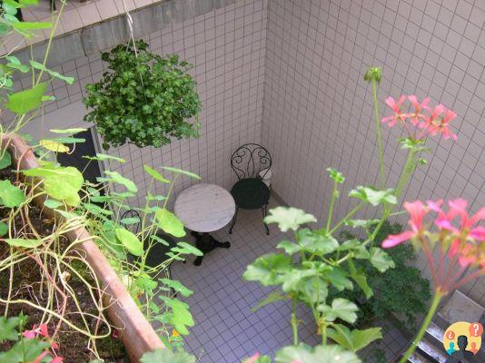 Cheap Paris Hotels – 11 Amazing Choices That Fit in Your Pocket