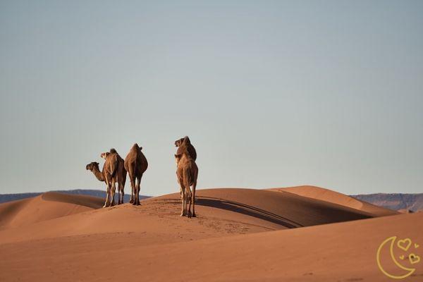 Países baratos para una Luna de miel