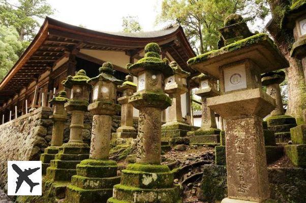Les 10 choses incontournables à faire à Nara
